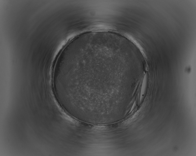 X0000089921477200707131400