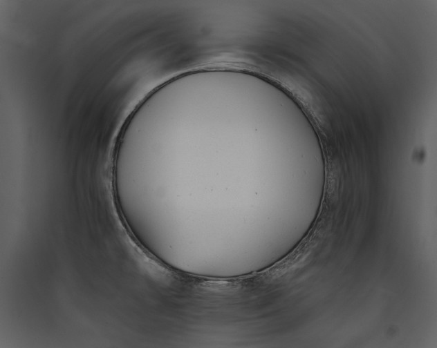 X0000089921478200707131400