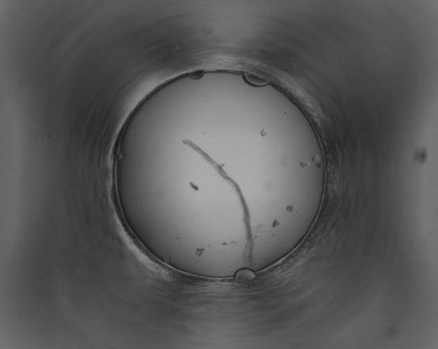 X0000089921479200707131400
