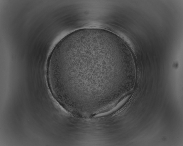 X0000089921480200707131400