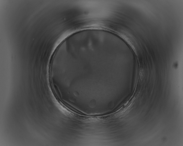X0000089921482200707131400