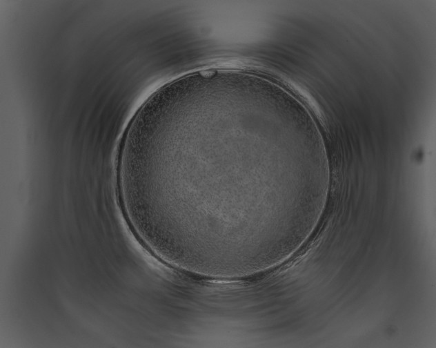 X0000089921483200707131400