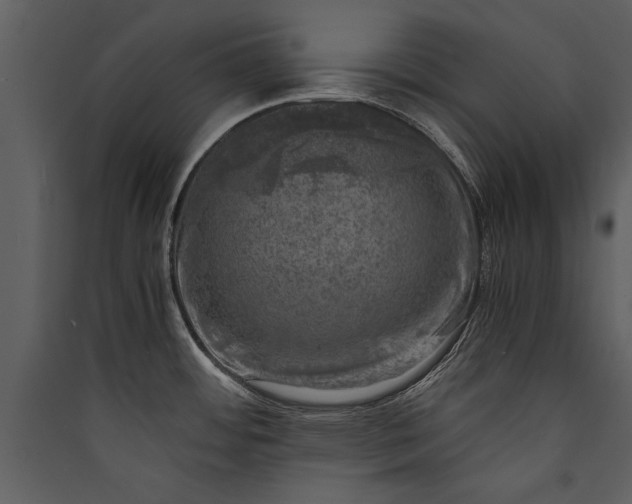 X0000089921484200707131400