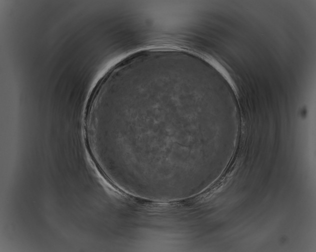 X0000089921485200707131400