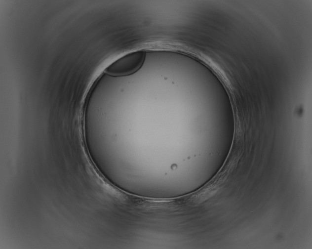 X0000089921486200707131400