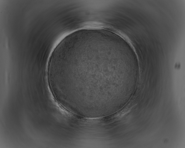 X0000089921488200707131400