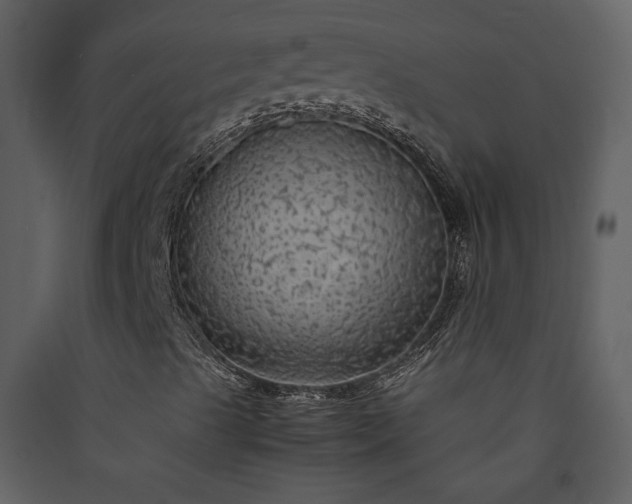 X0000089921489200707131359
