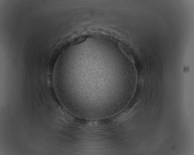 X0000089921490200707131359