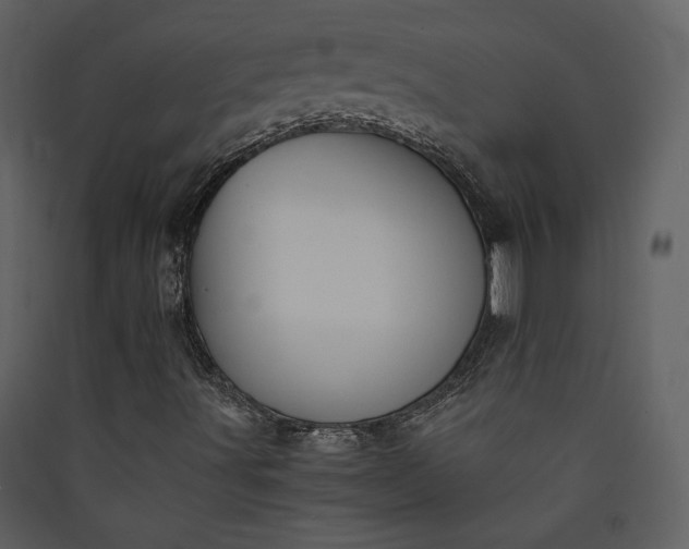 X0000089921491200707131359