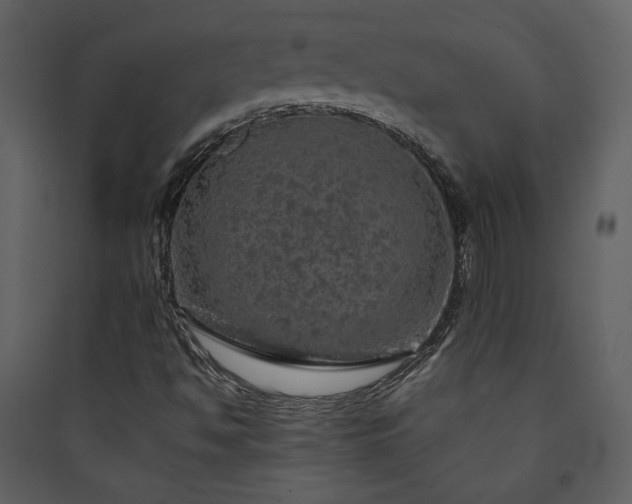 X0000089921494200707131359