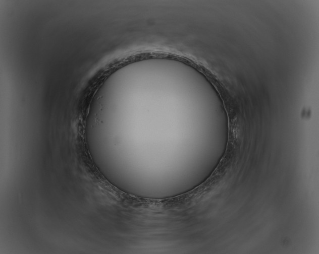 X0000089921495200707131359