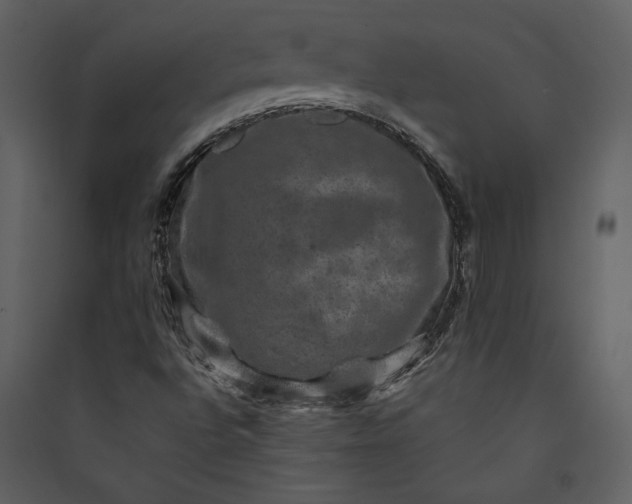X0000089921496200707131359