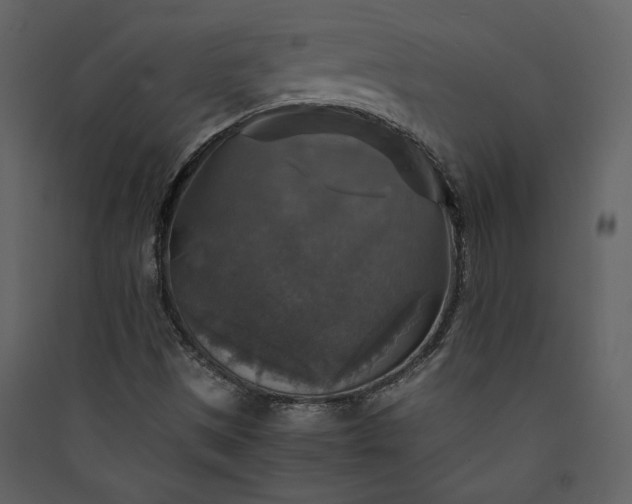 X0000089921497200707131359