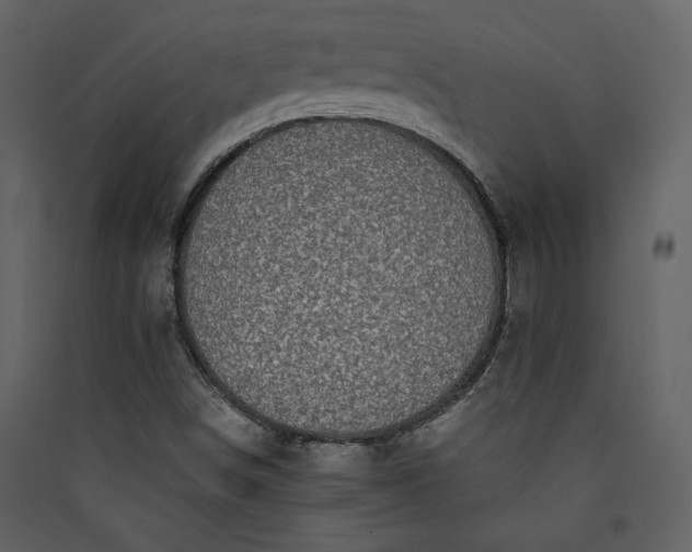 X0000089921498200707131359