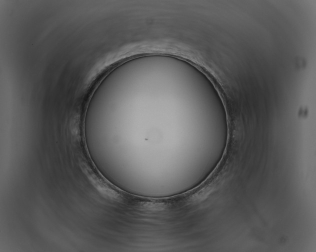 X0000089921499200707131359