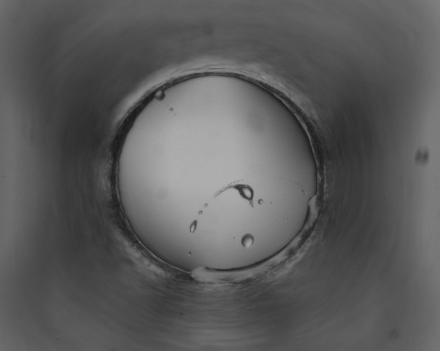 X0000089921502200707131359