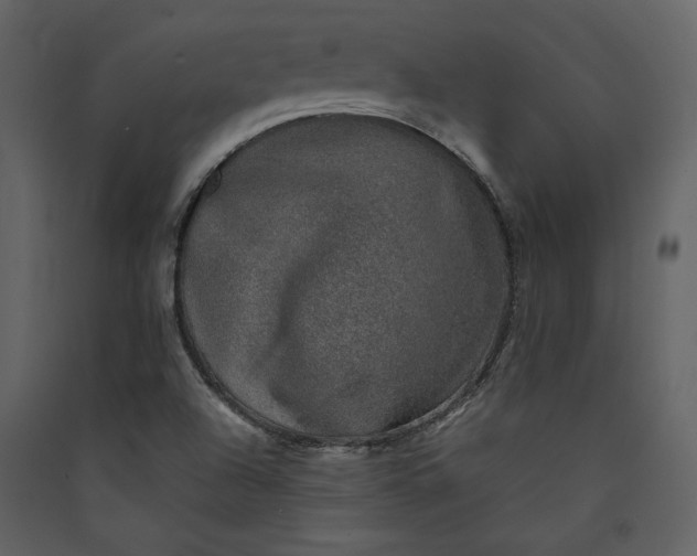 X0000089921504200707131359