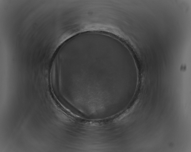 X0000089921505200707131359
