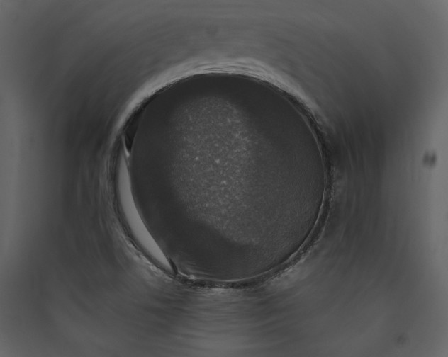 X0000089921506200707131359