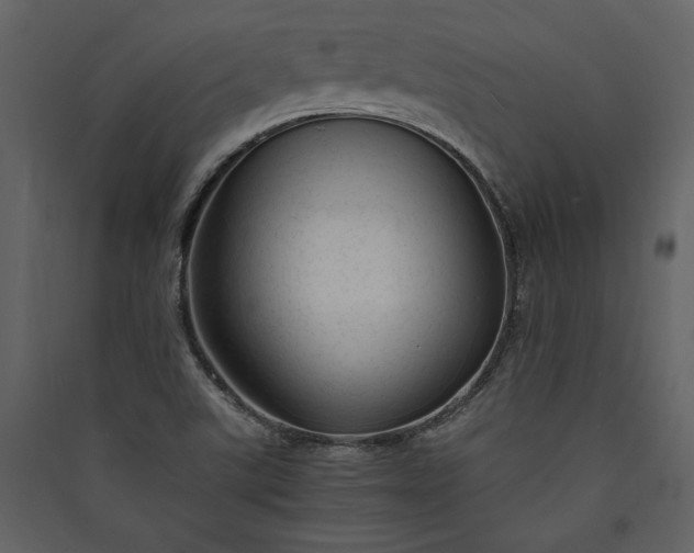 X0000089921507200707131359