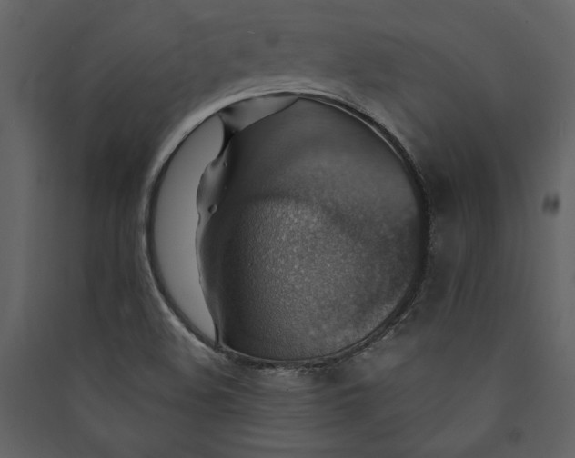 X0000089921508200707131359