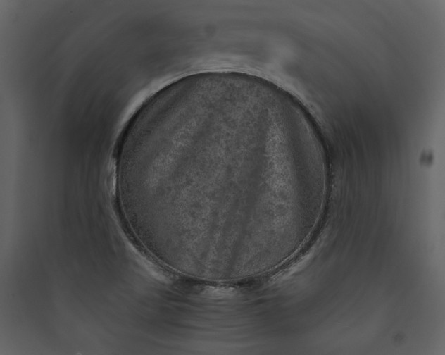 X0000089921509200707131359