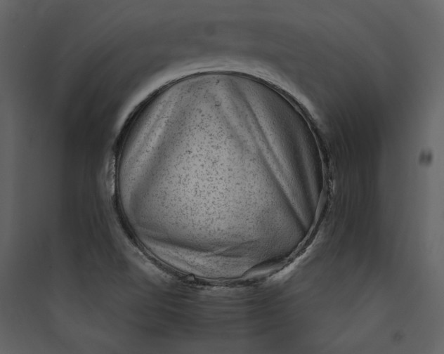 X0000089921510200707131359