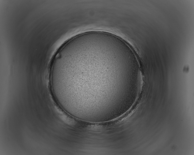X0000089921511200707131359