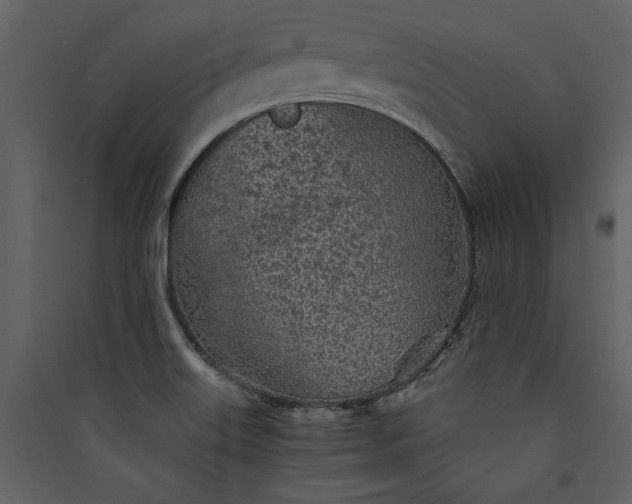 X0000089921515200707131359