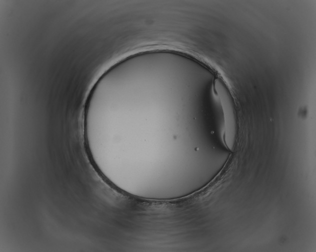 X0000089921516200707131359