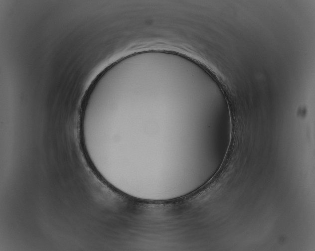 X0000089921518200707131359