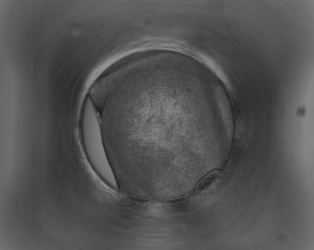 X0000089921520200707131359