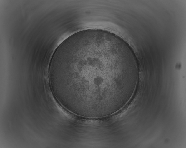 X0000089921521200707131359