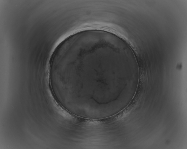 X0000089921522200707131359