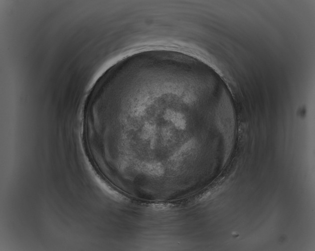 X0000089921523200707131400