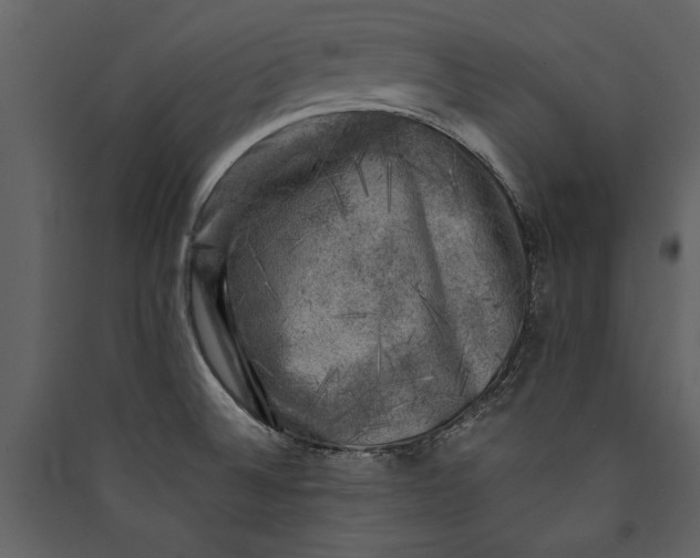 X0000089921524200707131400