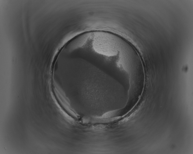 X0000089921525200707131400