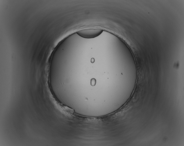 X0000089921526200707131400