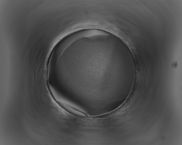 X0000089921527200707131400