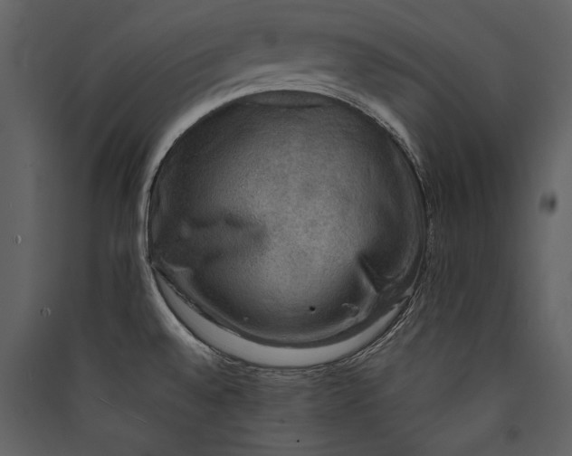 X0000089921528200707131400
