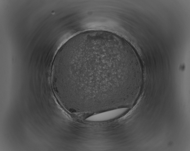 X0000089921529200707131400