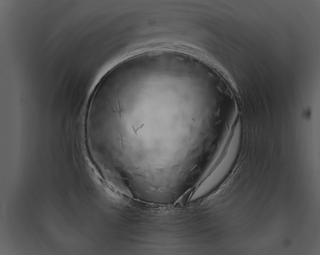 X0000089921530200707131400