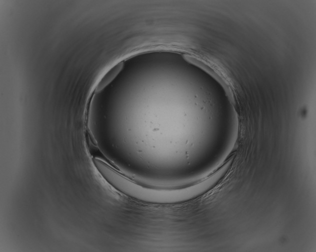 X0000089921532200707131400