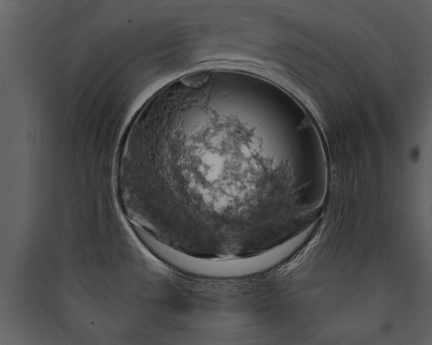 X0000089921533200707131400