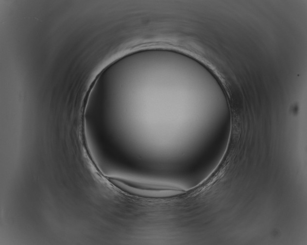 X0000089921534200707131400