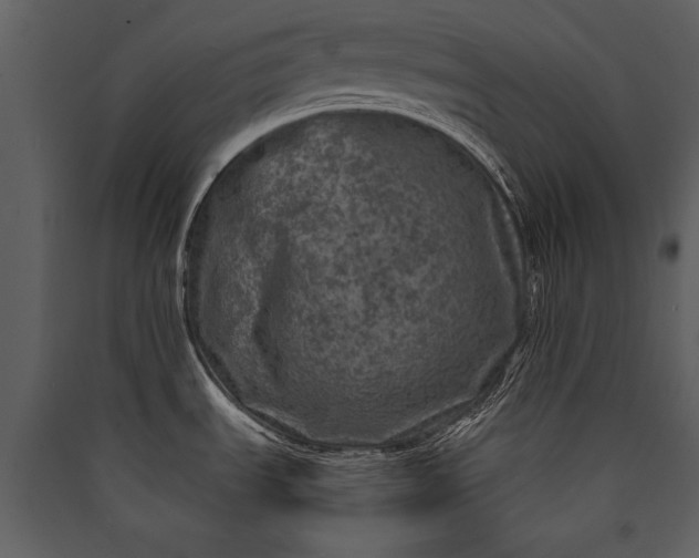 X0000089921535200707131400