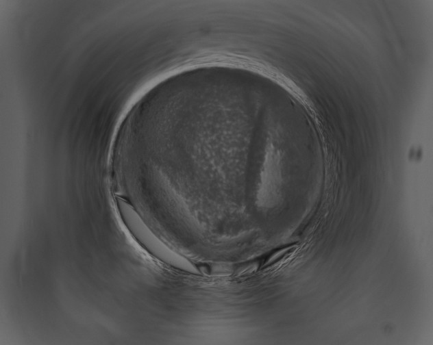 X0000089921536200707131400