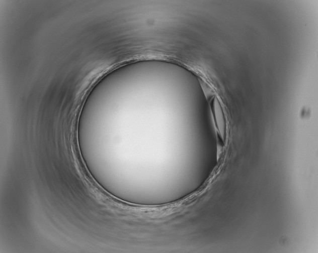 X0000089920001200707201828