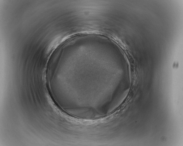 X0000089920002200707201828