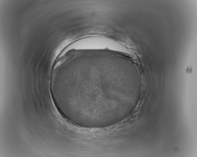 X0000089920003200707201828